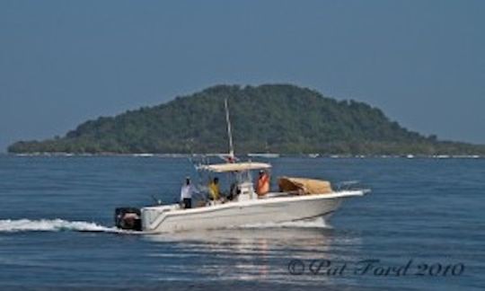 Fishing Charter on 30' Bertram Flybrige Yacht in Chicá, Panamá