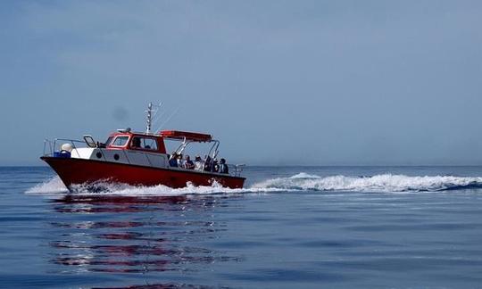 Paseos en barco y taxi (20 personas) en Hora Sfakion Creta