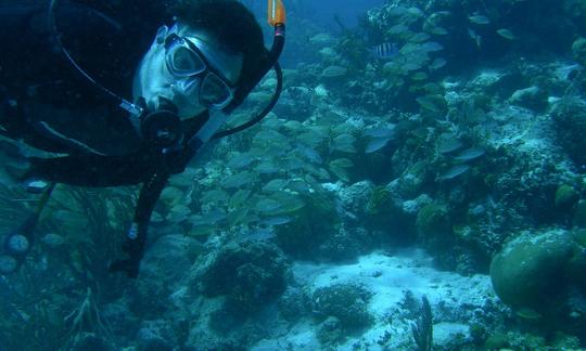 Barco de buceo en la ciudad de Belice