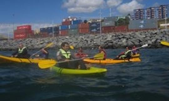 Exploración guiada en kayak en Valparaíso, Chile