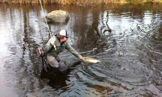 Safári de pesca com mosca e serviço de guia na Suécia