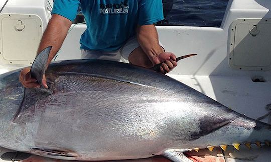 Big Game fishing in S. Miguel island - Azores