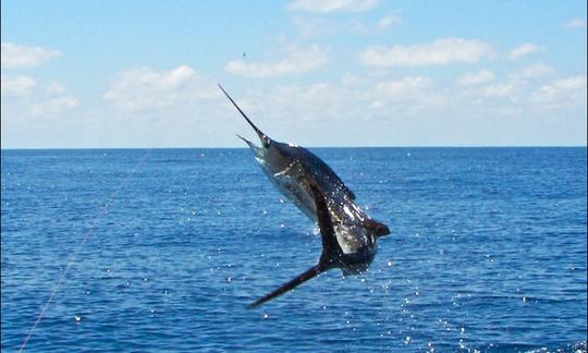 Pescador deportivo Dusky' 27' en Tamarindo, Costa Rica