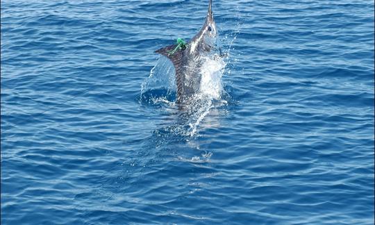 Pescador deportivo Dusky' 27' en Tamarindo, Costa Rica