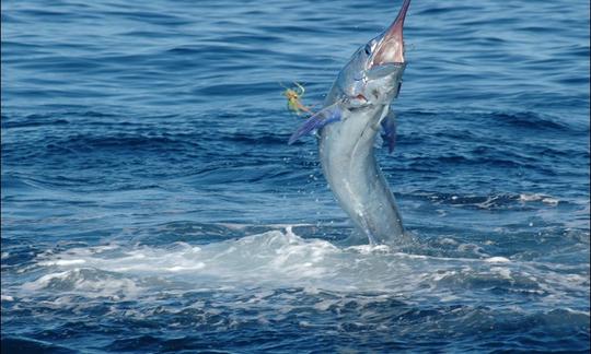 Pescador deportivo Dusky' 27' en Tamarindo, Costa Rica