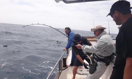 Carta de pesca noturna em Whakatane