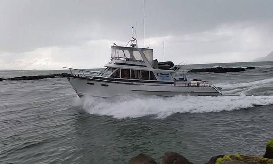 Carta de pesca noturna em Whakatane