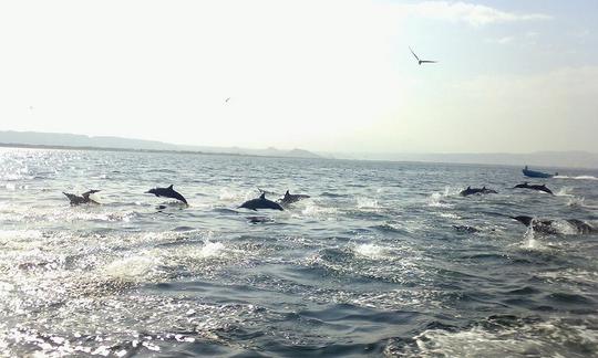 Coastal Tour Boat In Muscat