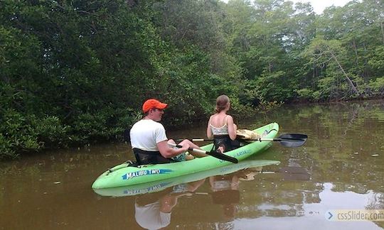 Explore los arrecifes y la zona de playa de Tamarindo, Costa Rica, en un recorrido en kayak