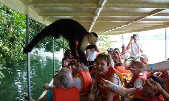 Passeios ecológicos de barco pelo canal no Panamá