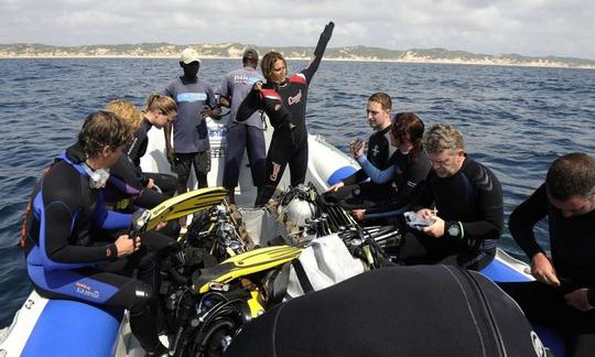 Viajes de safari oceánico en Inhambane