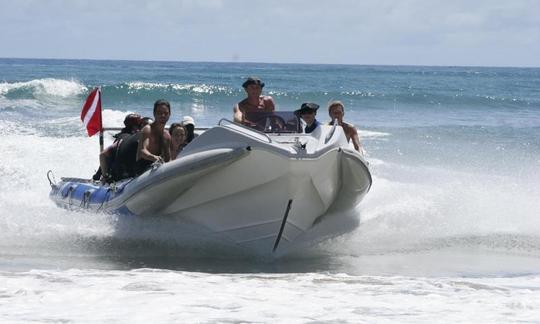 Viajes de safari oceánico en Inhambane