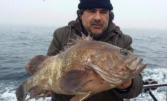 Bateau Aquafish Express de 38 pieds à Mar del Plata