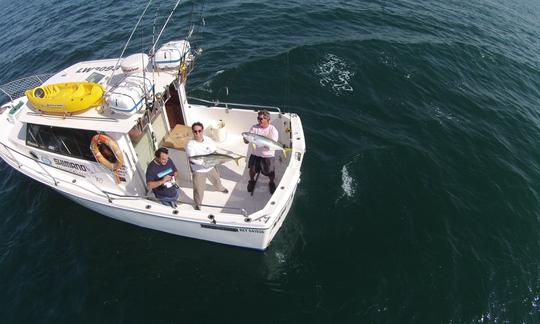 Bateau de sport Marco Polo de 42 pieds à Mar del Plata