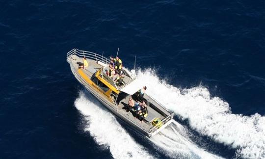 Diveworks Charters - Encontros com golfinhos e focas, passeios pela ilha das baleias, viagens de pesca em Whakatane, Nova Zelândia