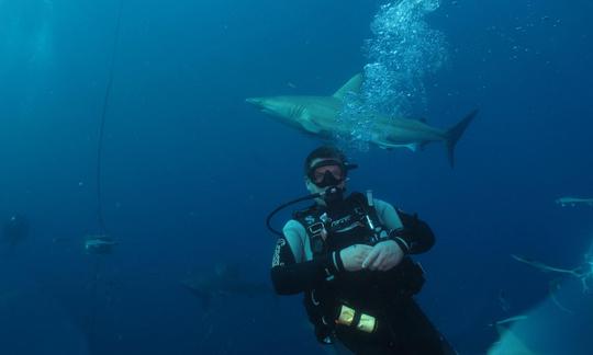 Alquiler de buceo a Aliwal Shoal