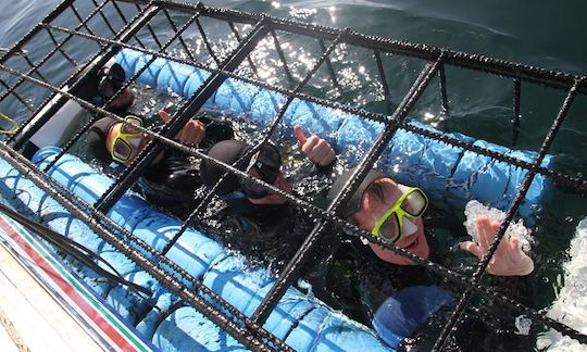 Bote de buceo con tiburones de 36 pies en Gansbaai