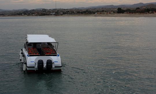 Excursión en barco para avistar ballenas en Órganos, Perú