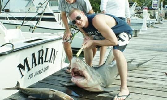 Barco de pesca Bertram de 35 pés em Cancún