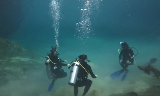 Diving Expeditions in Cenotes, Mexico