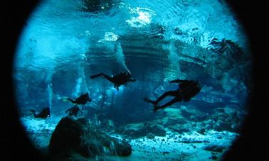 Diving Expeditions in Cenotes, Mexico