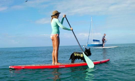 Excursions en stand up paddle à Puntas