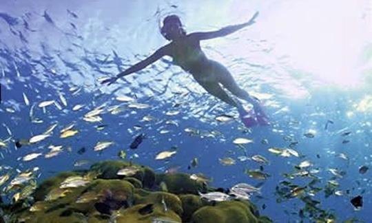 Excursion privée de plongée en apnée en bateau à Coxen Hole, au Honduras