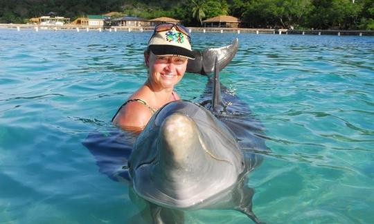 Excursion privée de plongée en apnée en bateau à Coxen Hole, au Honduras