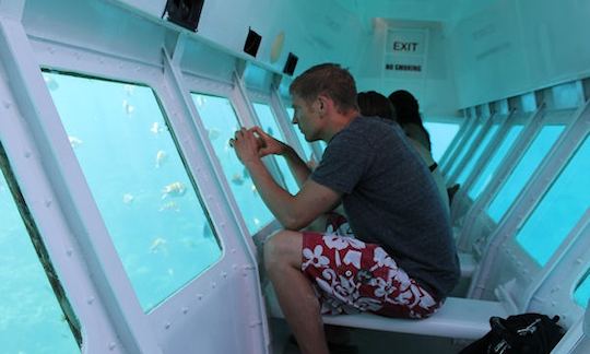 Excursion en bateau à fond de verre à Coxen Hole, au Honduras