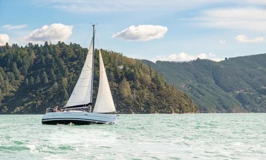 Passeios de iate à vela de 32 pés na Mahia