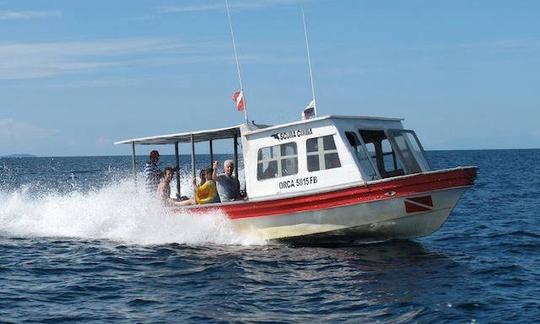 Plongée sous-marine au Panama