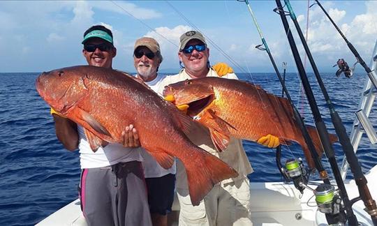 Charter de pêche « Reel Time » avec console centrale de 26 pieds à Drake Bay, Costa Rica