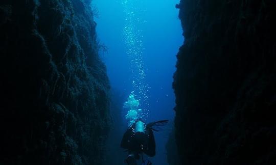 Excursions en bateau de plongée sur les récifs locaux pour 2 personnes au Belize !