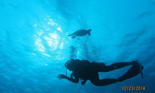 Excursions en bateau de plongée sur les récifs locaux pour 2 personnes au Belize !