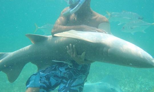 Viagens de pesca em alto mar em San Pedro