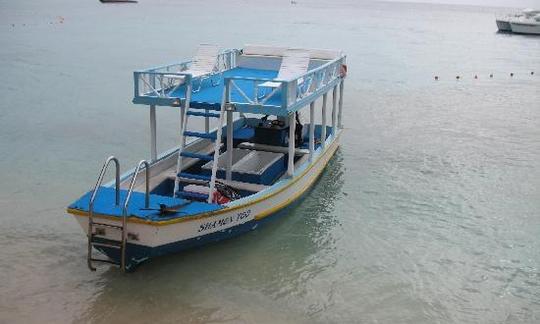 Alquiler de barcos de pasajeros en Folkestone, Barbados