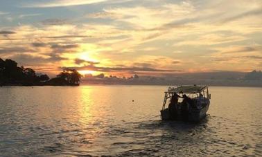 Bateau de pêche Panga de 23 pieds au Panama