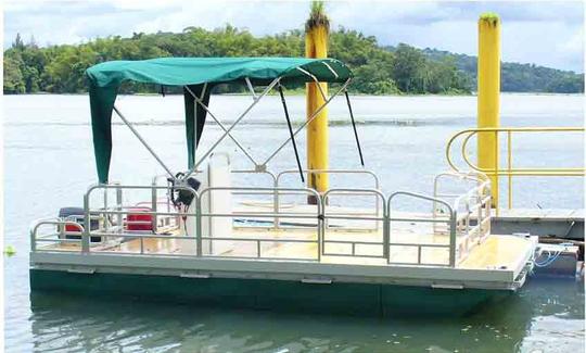 Passeio de observação de pássaros de barco no Panamá