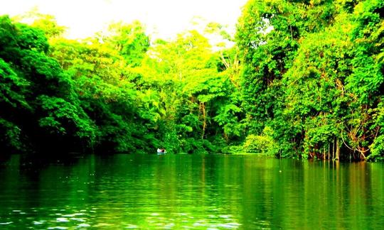 Tours guiados en canoa en Tortuguero, Costa Rica