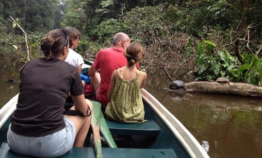 Tours guiados en canoa en Tortuguero, Costa Rica