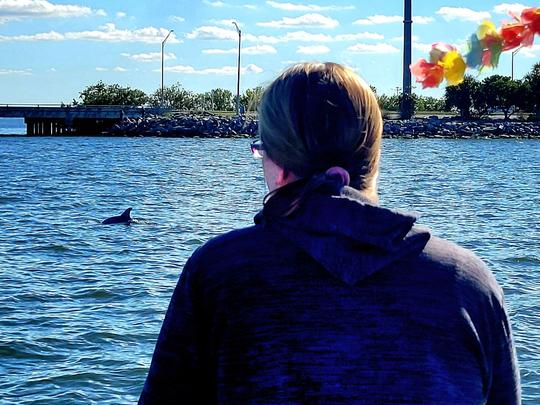 Recorrido turístico con delfines al atardecer en Cocoa Beach, Florida