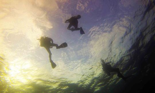 Passeios de mergulho e cursos PADI em Playa del Carmen, México