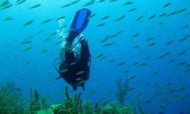 Mergulho em Cayos Cochinos e montes marinhos na costa de Honduras