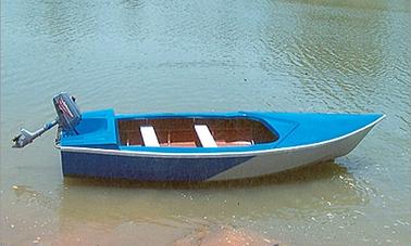 Barco a motor de 4 plazas en alquiler en Hanumangarh, India