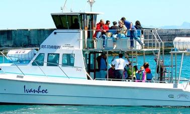 Hermanus Whale Watching Private Charter - Launch from Gansbaai, South Africa