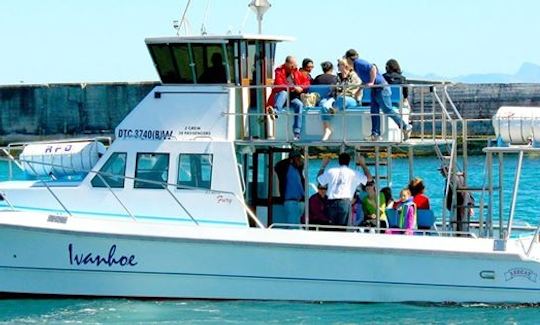 Hermanus Whale Watching Private Charter - Launch from Gansbaai, South Africa