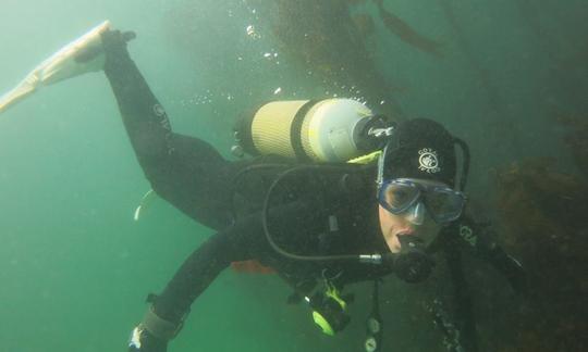 Un viaje de buceo con la máxima diversión y seguridad en Ciudad del Cabo, Sudáfrica