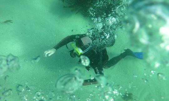 Un viaje de buceo con la máxima diversión y seguridad en Ciudad del Cabo, Sudáfrica