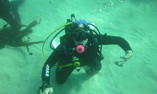 Un viaje de buceo con la máxima diversión y seguridad en Ciudad del Cabo, Sudáfrica