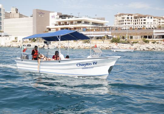 Panga confortável de 25 pés, perfeita para passeios turísticos em Cabo San Lucas